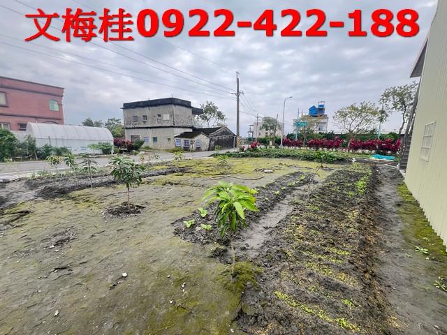 宜蘭礁溪農舍-0