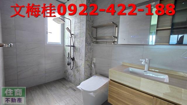 宜蘭宜蘭市農舍-3