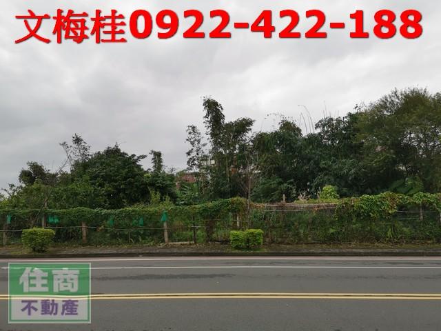 宜蘭宜蘭市建地-0