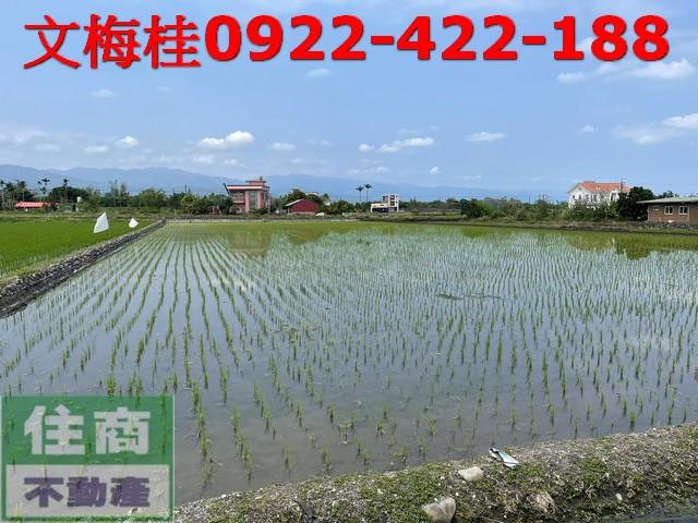 宜蘭三星農地-7