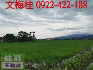 宜蘭三星農地-0