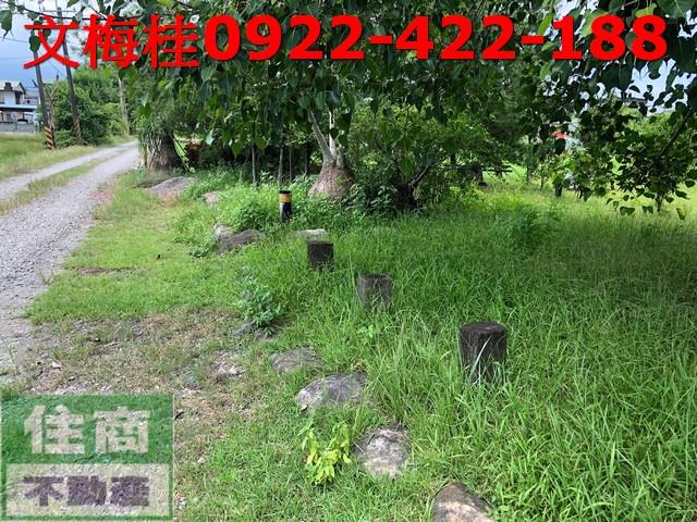 宜蘭宜蘭市農地-2