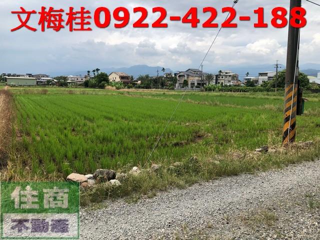 宜蘭宜蘭市農地-4