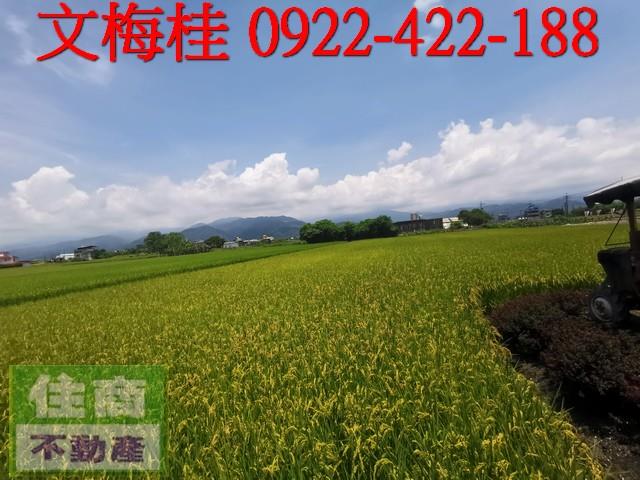宜蘭農地-0