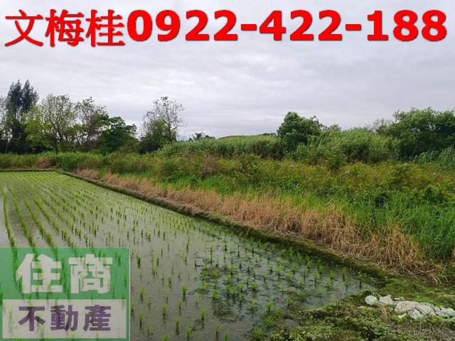 宜蘭宜蘭市農地-4