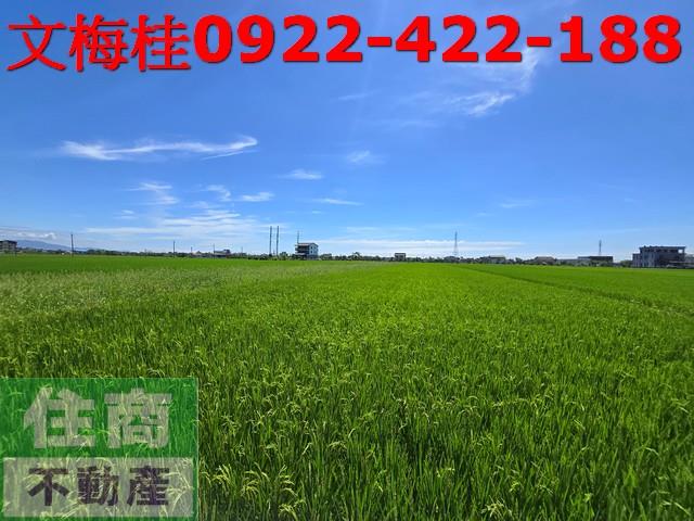 宜蘭宜蘭市農地-0