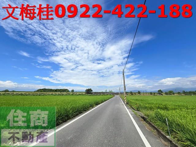 宜蘭壯圍農地-3