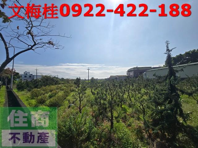 宜蘭頭城農地-1