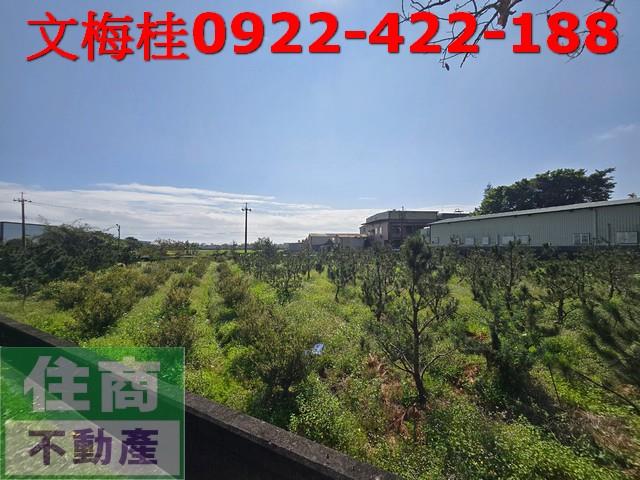 宜蘭頭城農地-3