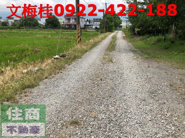 宜蘭宜蘭市農地-7