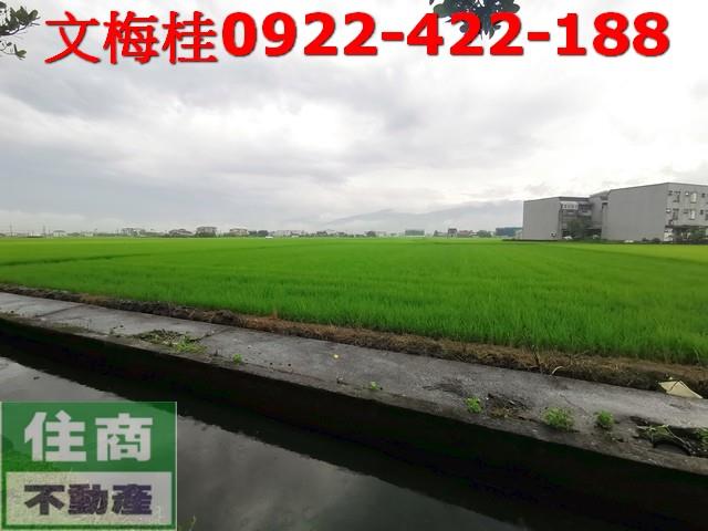 宜蘭壯圍農地-0