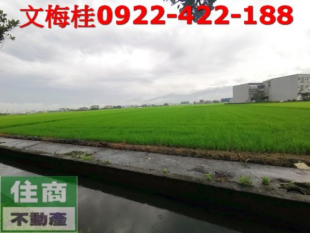 宜蘭壯圍農地-1