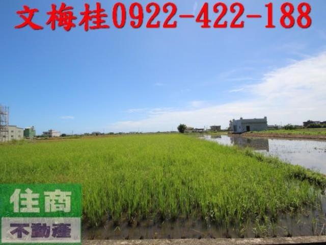 宜蘭礁溪農地-4