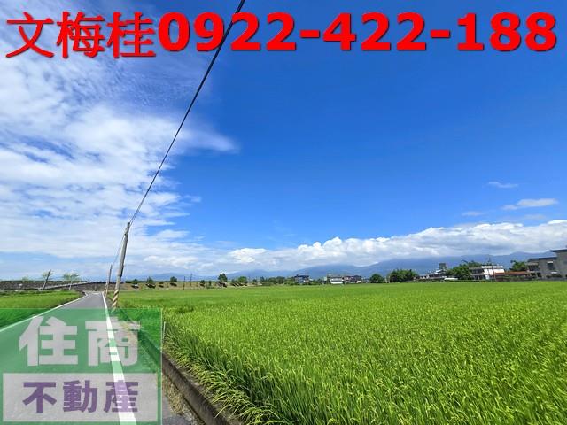 宜蘭壯圍農地-4