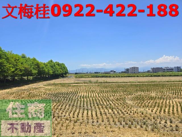 壯圍農地-1