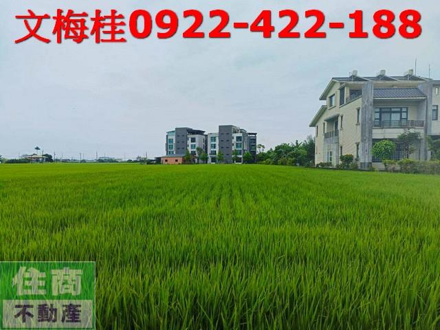 宜蘭壯圍農地-0