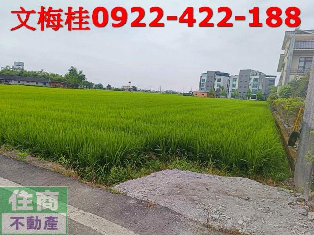 宜蘭壯圍農地-4