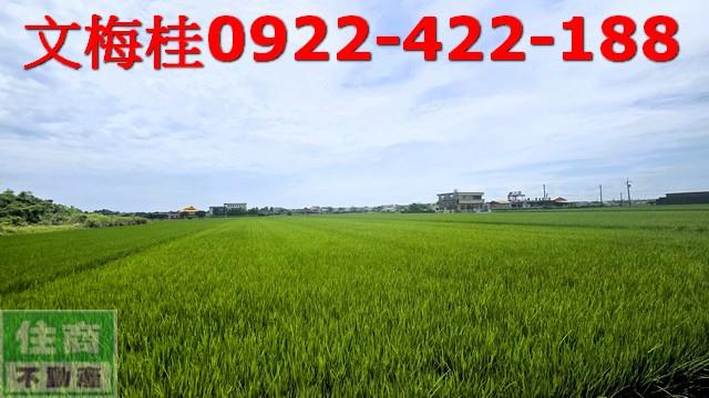 宜蘭壯圍農地-0