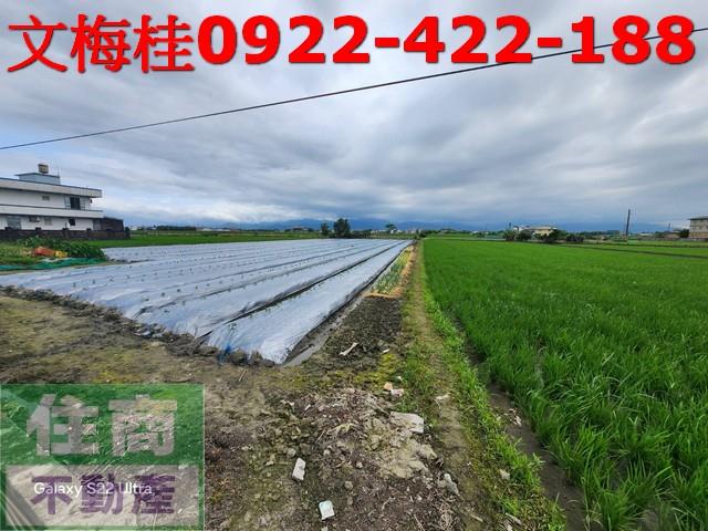 宜蘭壯圍農地-1