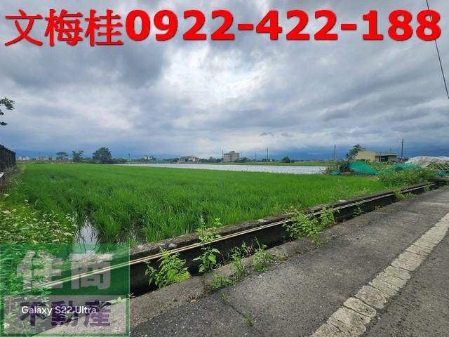 宜蘭壯圍農地-6