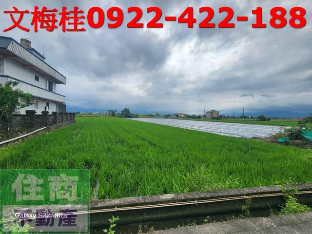 宜蘭壯圍農地-8