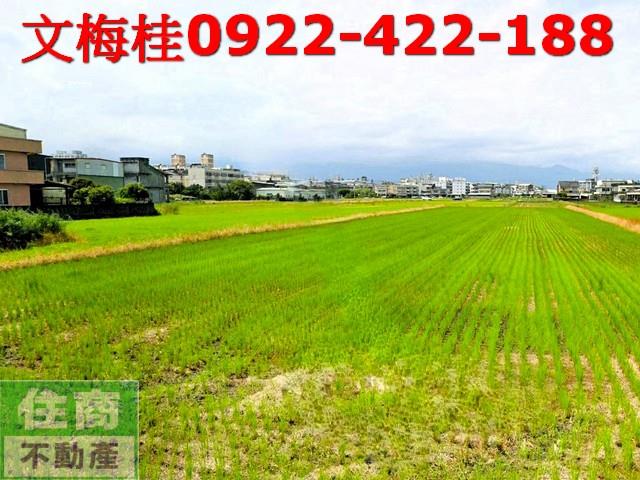 宜蘭宜蘭市農地-0