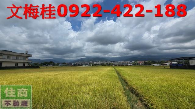 宜蘭宜蘭市農地-5