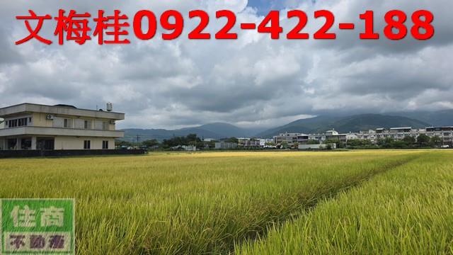 宜蘭宜蘭市農地-6