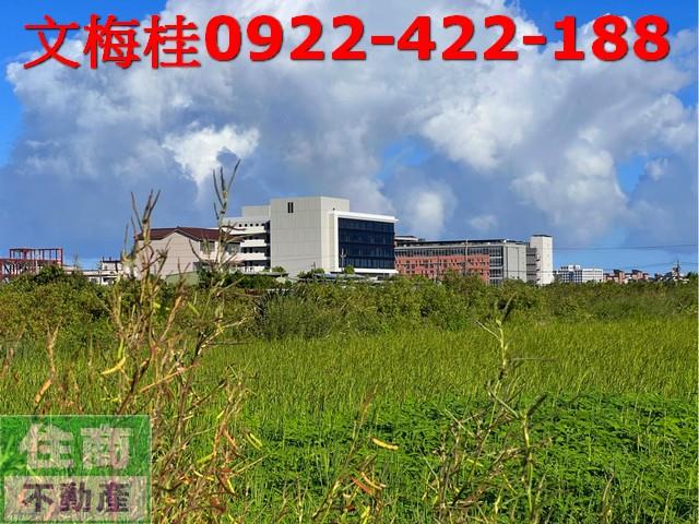 宜蘭宜蘭市農地-9