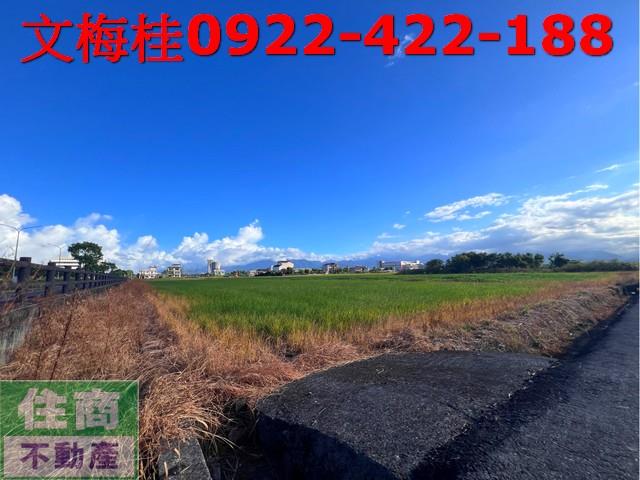 宜蘭宜蘭市農地-12