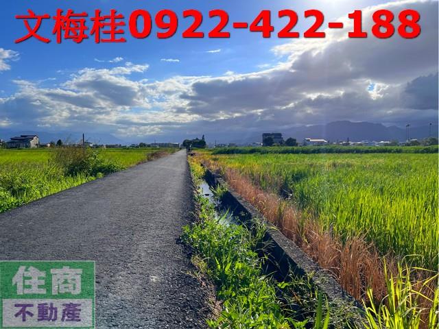 宜蘭宜蘭市農地-13