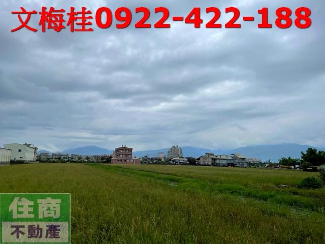 宜蘭宜蘭市農地-10