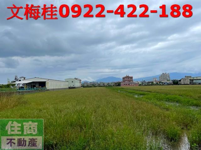 宜蘭宜蘭市農地-5