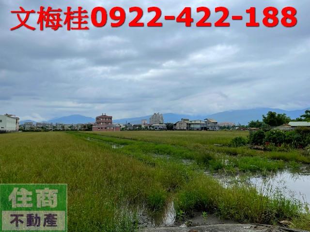 宜蘭宜蘭市農地-6