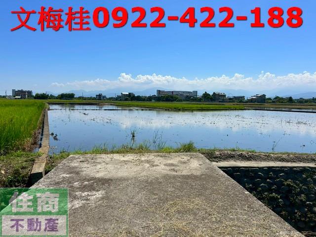 宜蘭宜蘭市農地-0