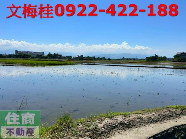 宜蘭宜蘭市農地-6