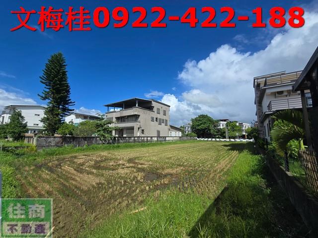 宜蘭宜蘭市農地-0