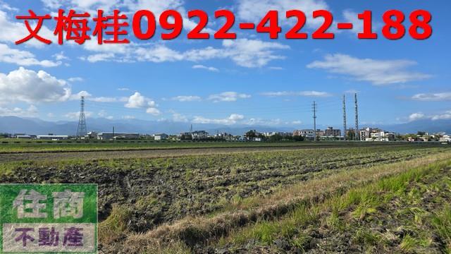 宜蘭宜蘭市農地-3