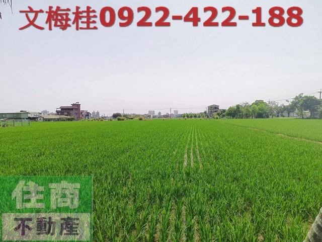 宜蘭宜蘭市農地-3