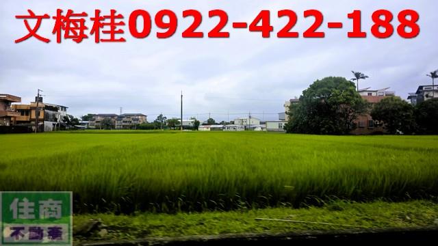 宜蘭宜蘭市農地-0