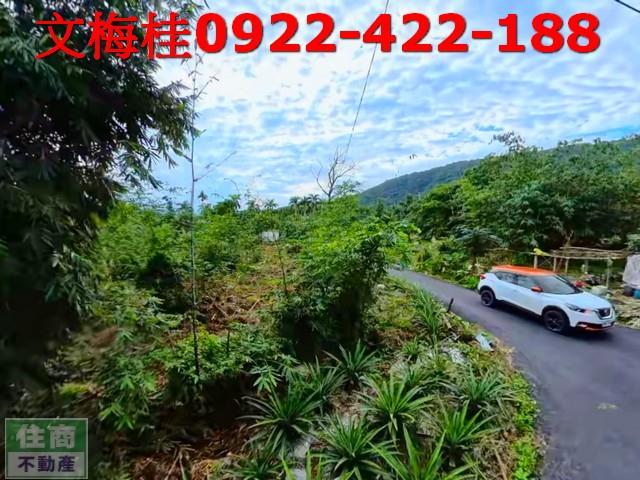 宜蘭員山農地-0