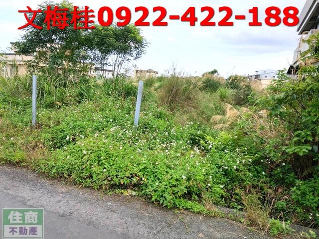 宜蘭宜蘭市農地-2