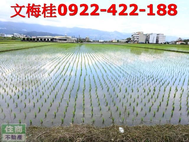 宜蘭宜蘭市農地-3