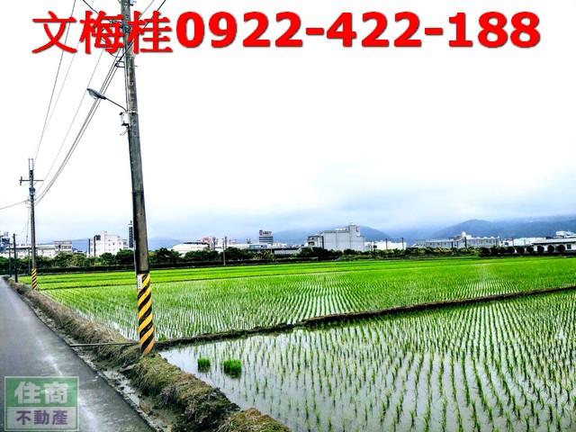 宜蘭宜蘭市農地-5