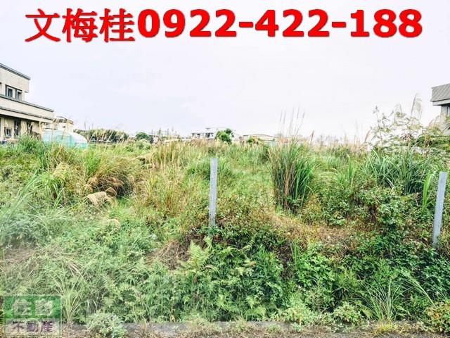 宜蘭宜蘭市農地-6