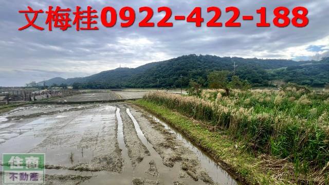 宜蘭蘇澳農地-0