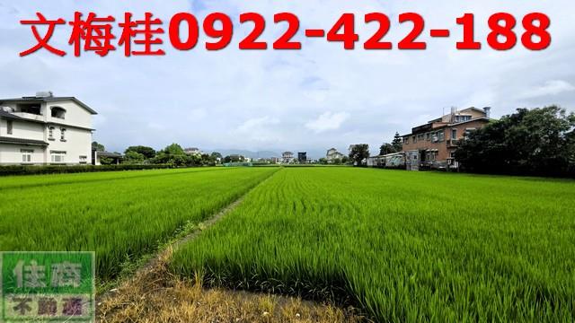 宜蘭員山農地-0