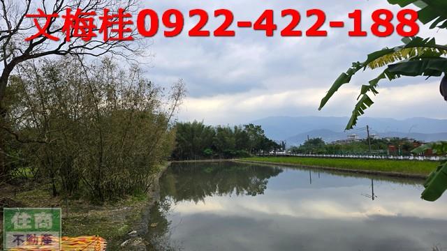 宜蘭宜蘭市農地-0