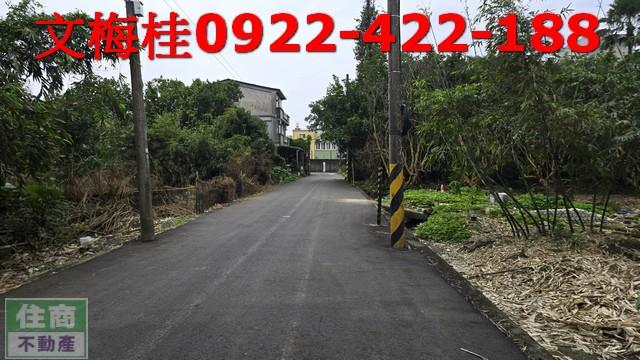 宜蘭宜蘭市農地-4