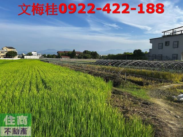 宜蘭農地-6